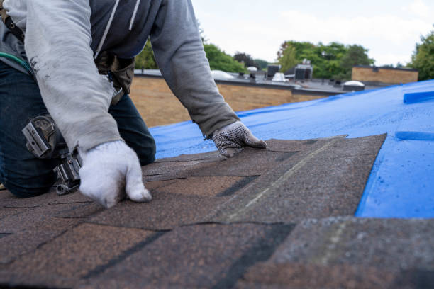 Best Roof Coating Services  in Rolla, ND